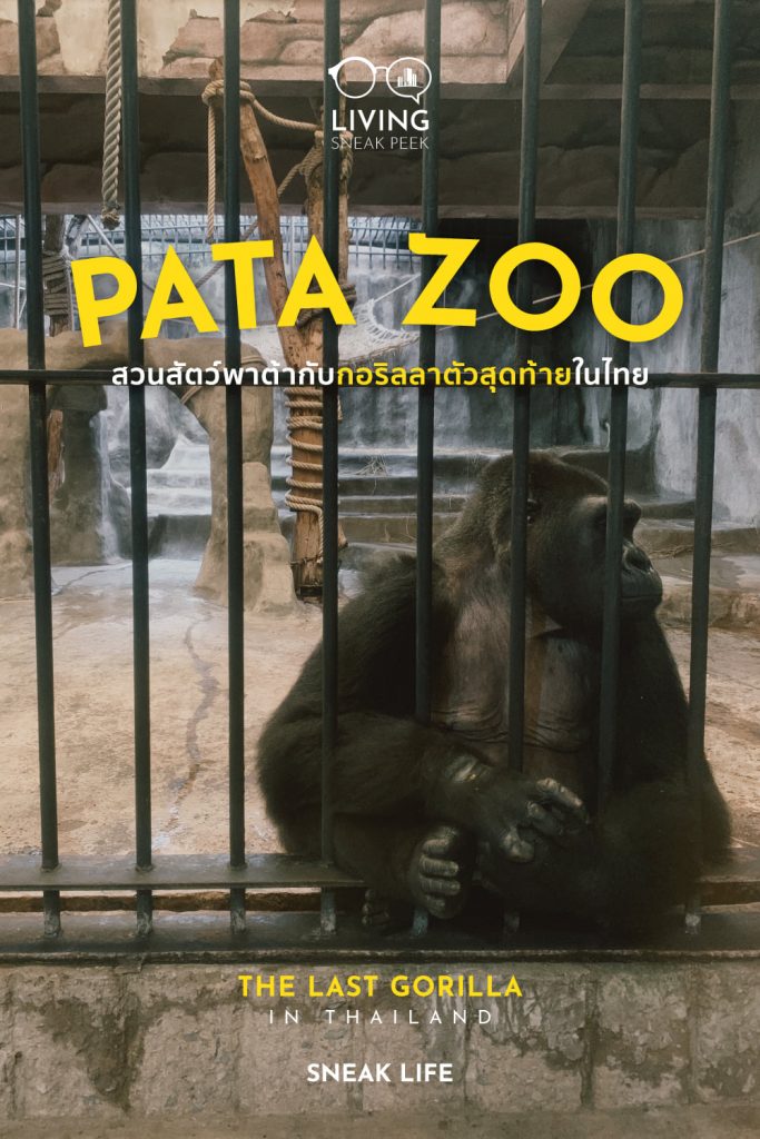 PATA ZOO สวนสัตว์พาต้าปิ่นเกล้า
