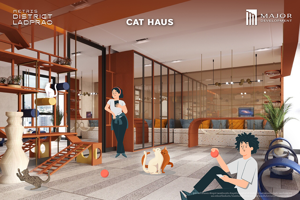 Cat-Haus