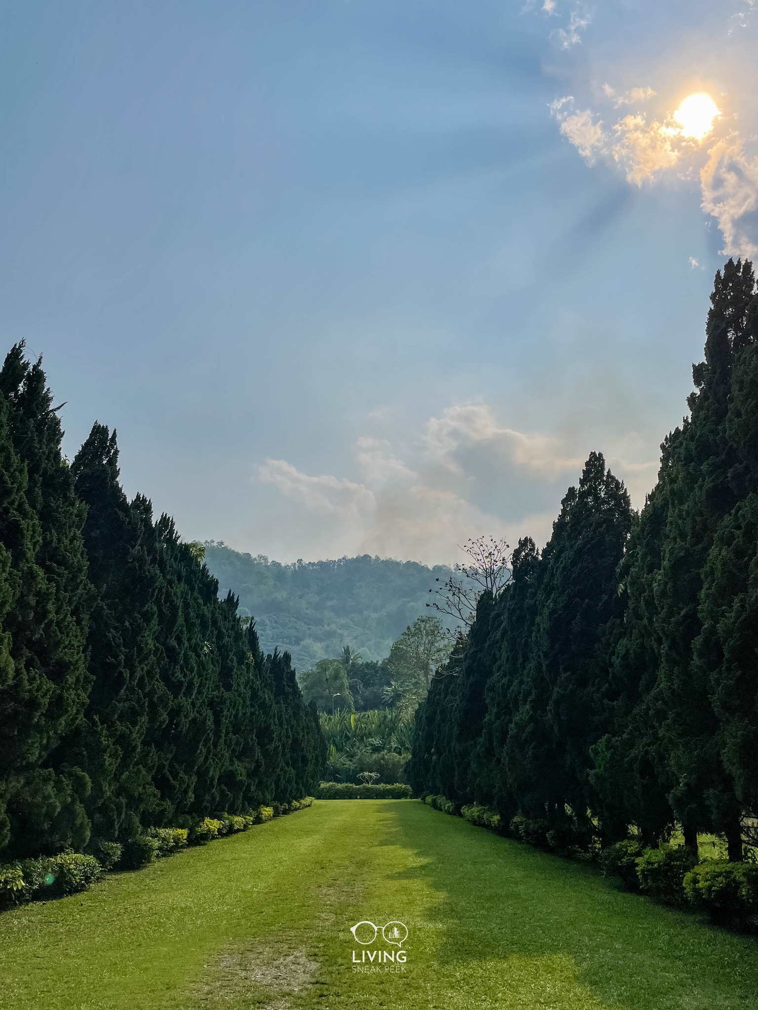 Cypress Lanes ร้านกาแฟท่ามกลางทิวสนสวยๆ เหมือนอยู่ต่างประเทศ รวมรีวิว